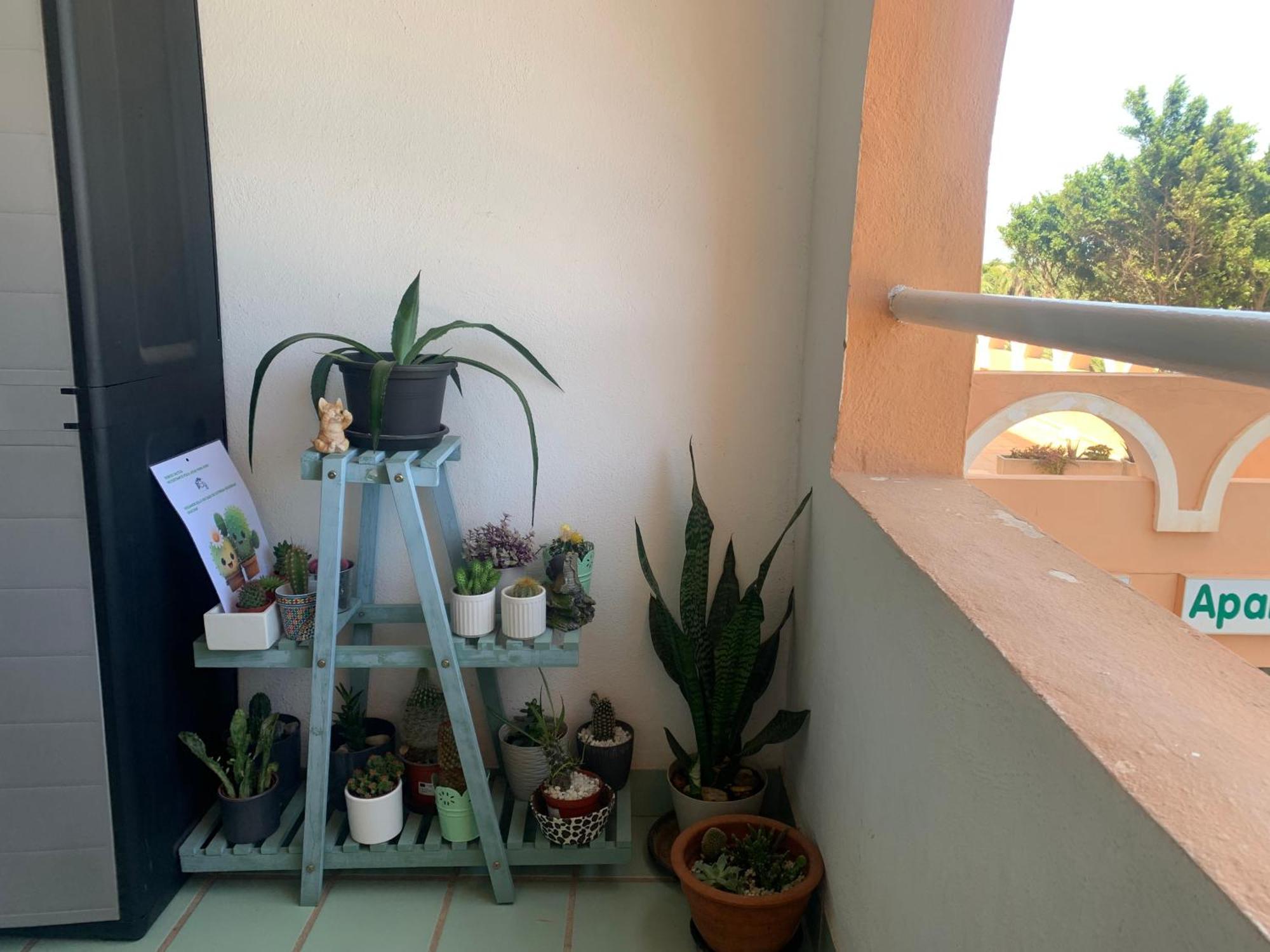 Estudio Roquetas Roquetas de Mar Ngoại thất bức ảnh